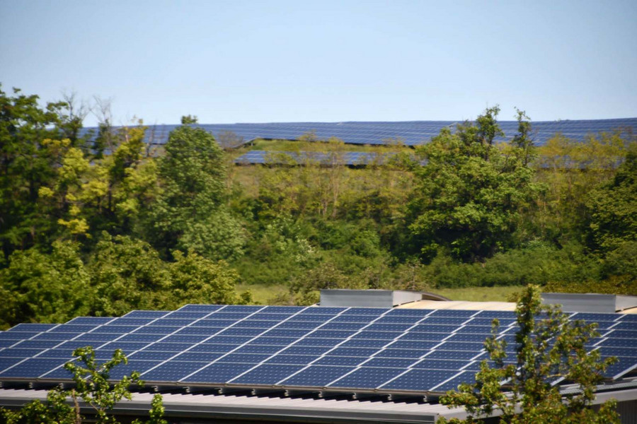 Deutsche Gesellschaft Für Sonnenenergie E.V.: 04.06.21 - 100 Prozent EE ...